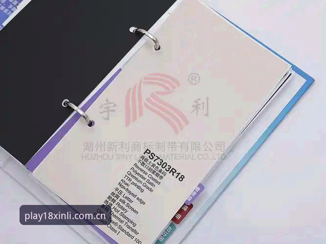 揭秘18新利官网：新利18安全吗怎么样？新手必看的深度体验报告